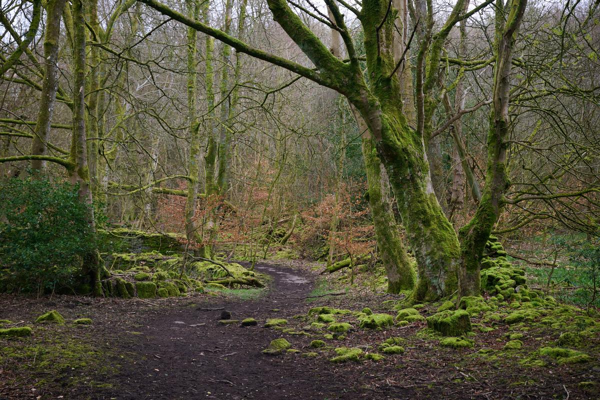 DSC_4402.jpg