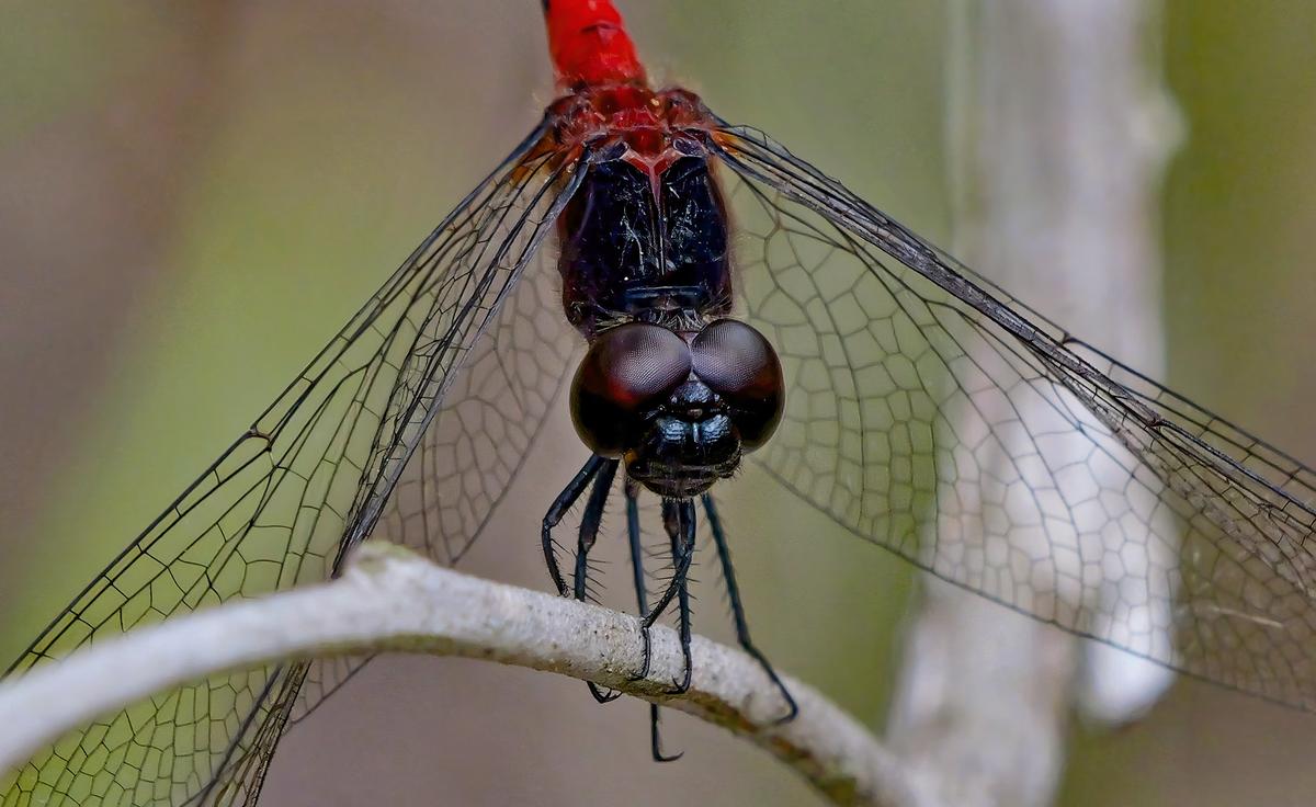 p112282a7-c.jpg