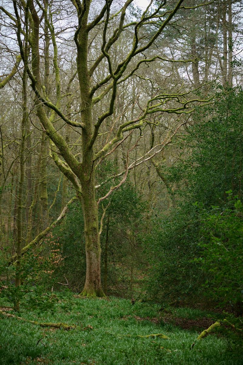 DSC_4381.jpg