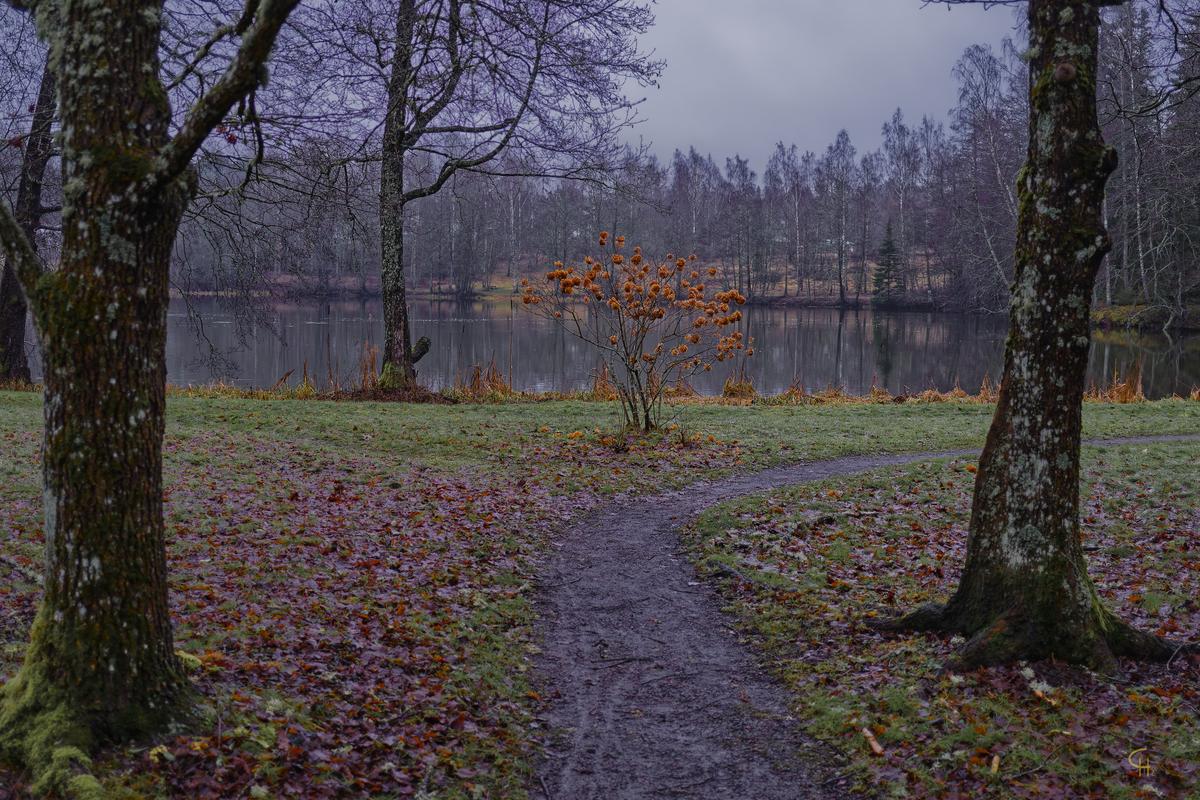_DSF1493_DxO.jpg