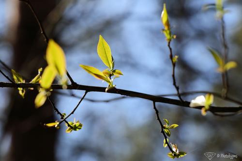 62A_1520.jpg