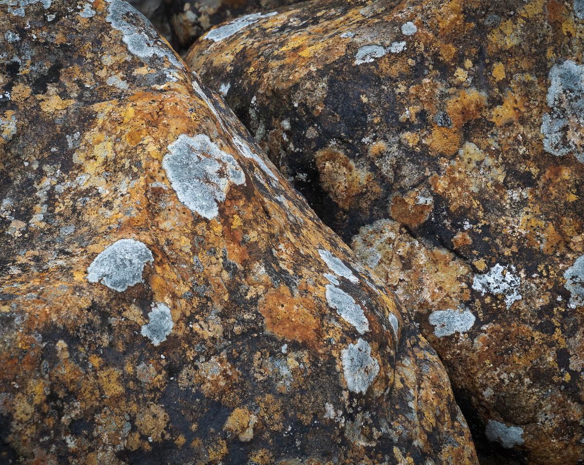 P6066683-Edit.jpg
