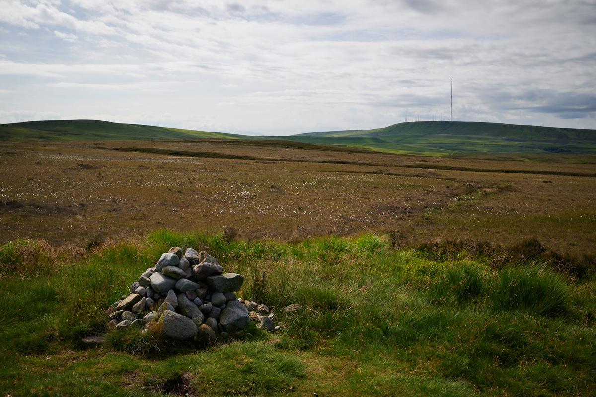 DSC_6246.jpg
