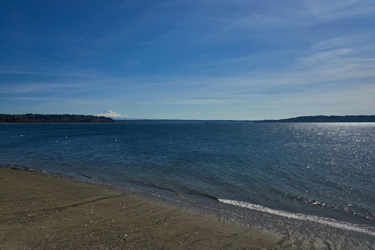 ttp-rainier-south-beach-small.jpg