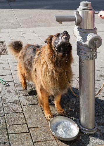 L1002077_b.jpg