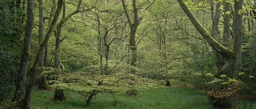 DSCF2617.jpg