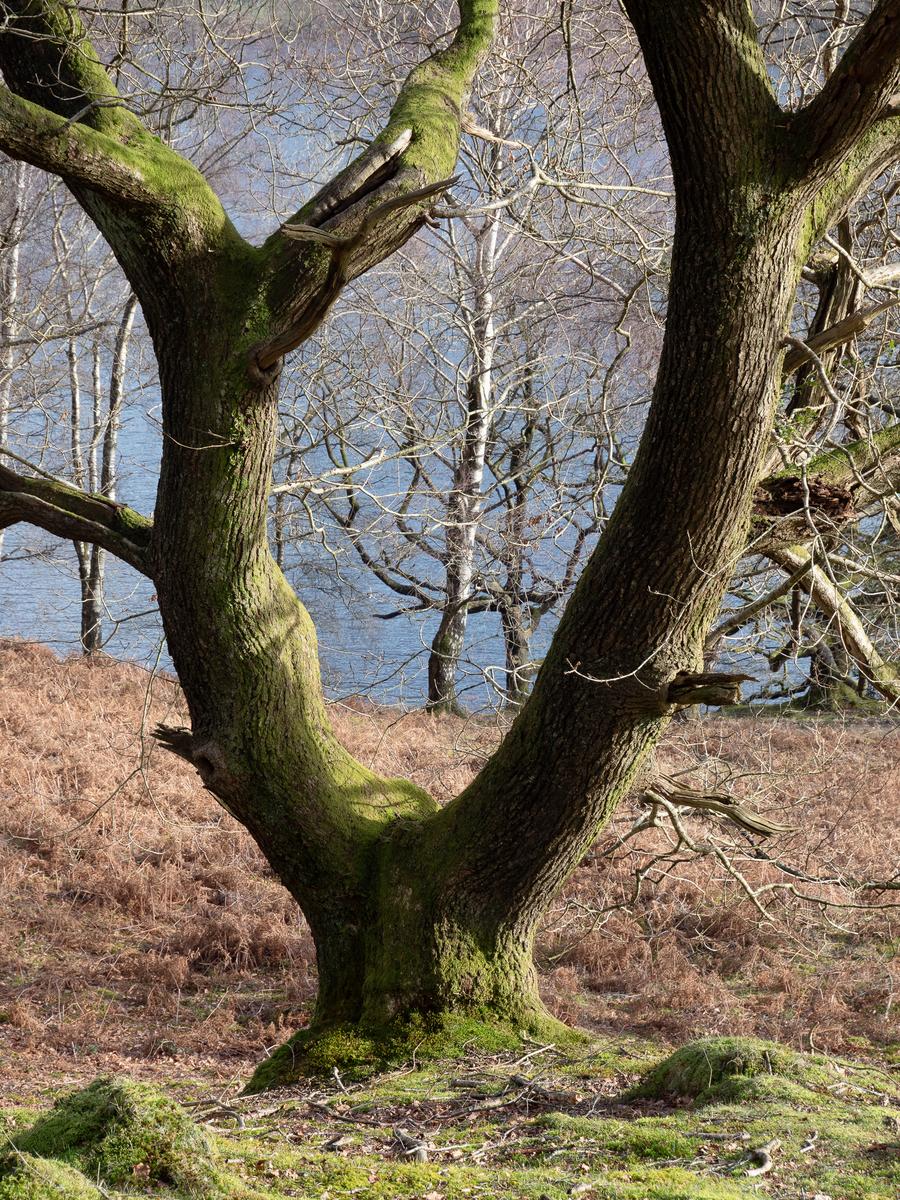 P2176161.jpg