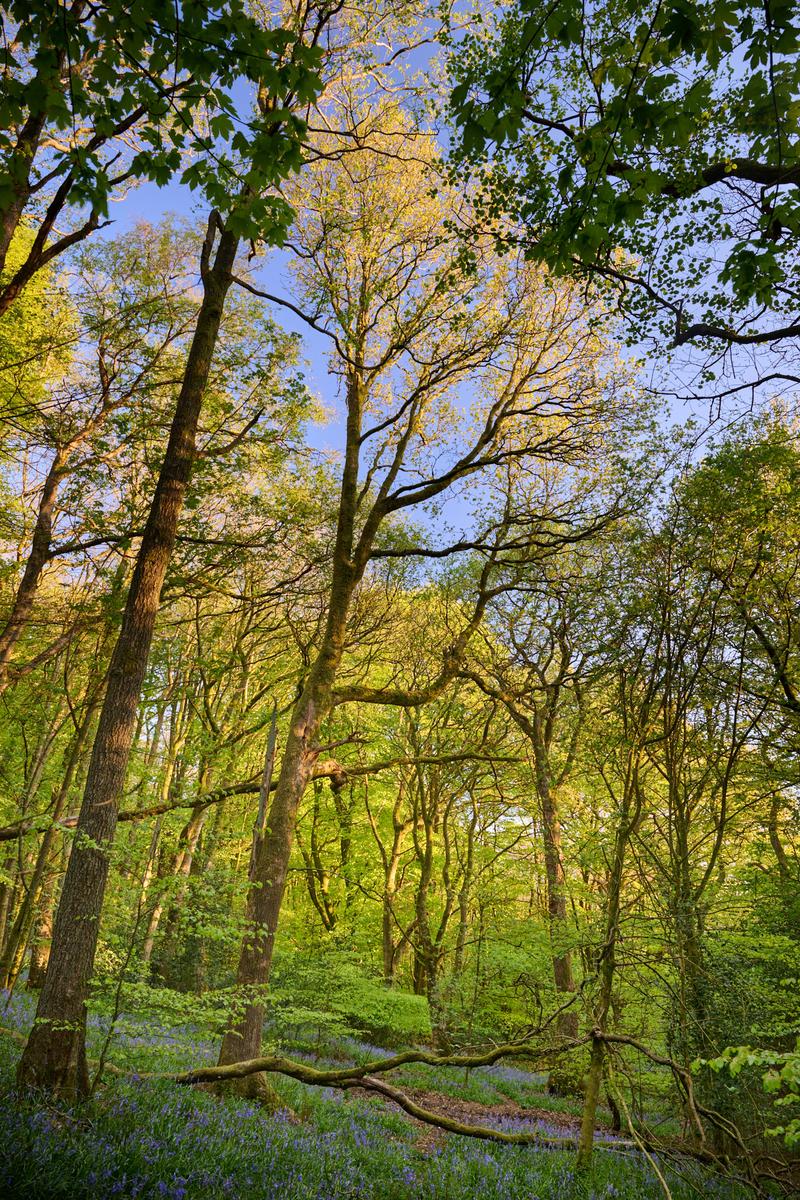DSC_5076.jpg