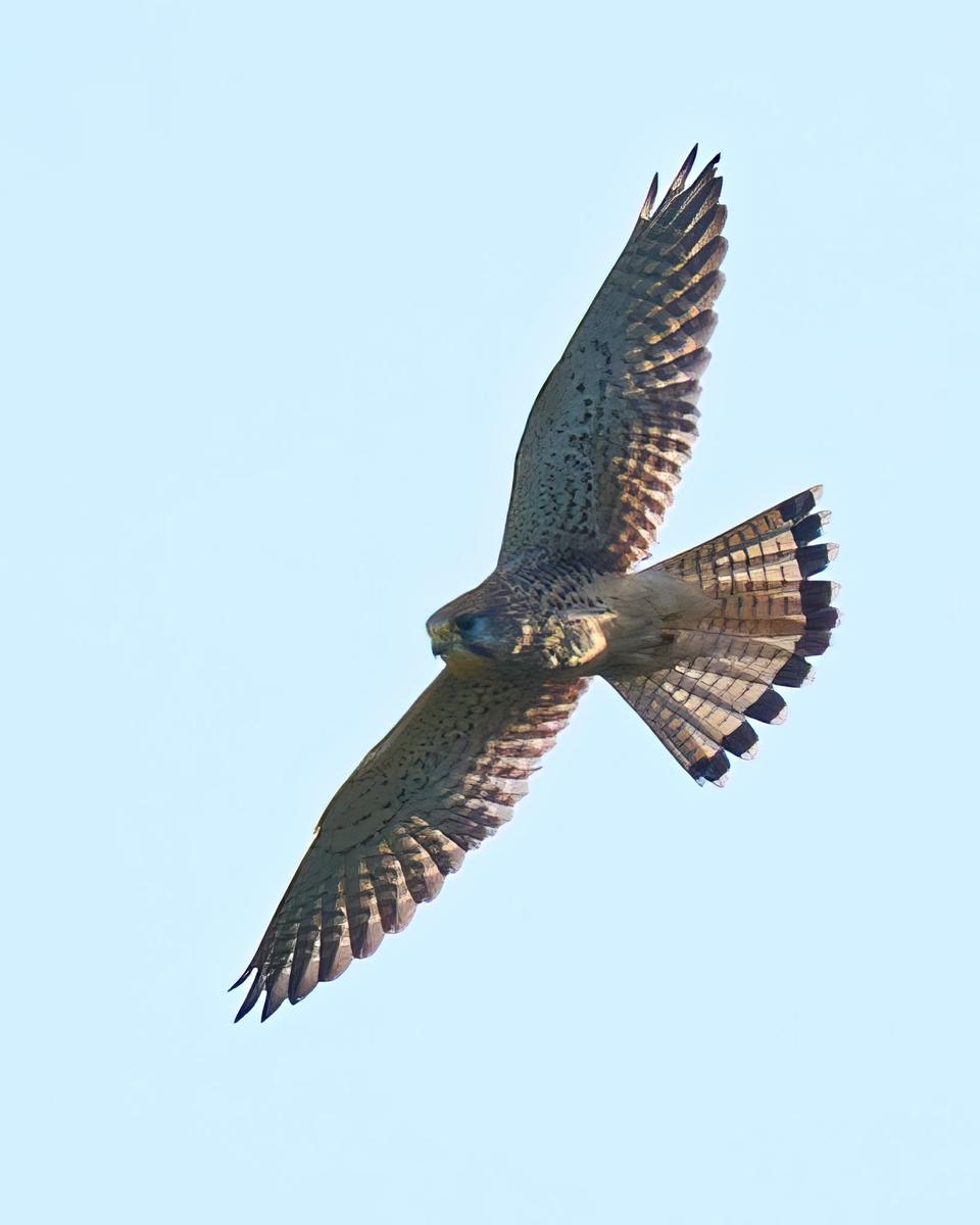 DSC_9400.jpg
