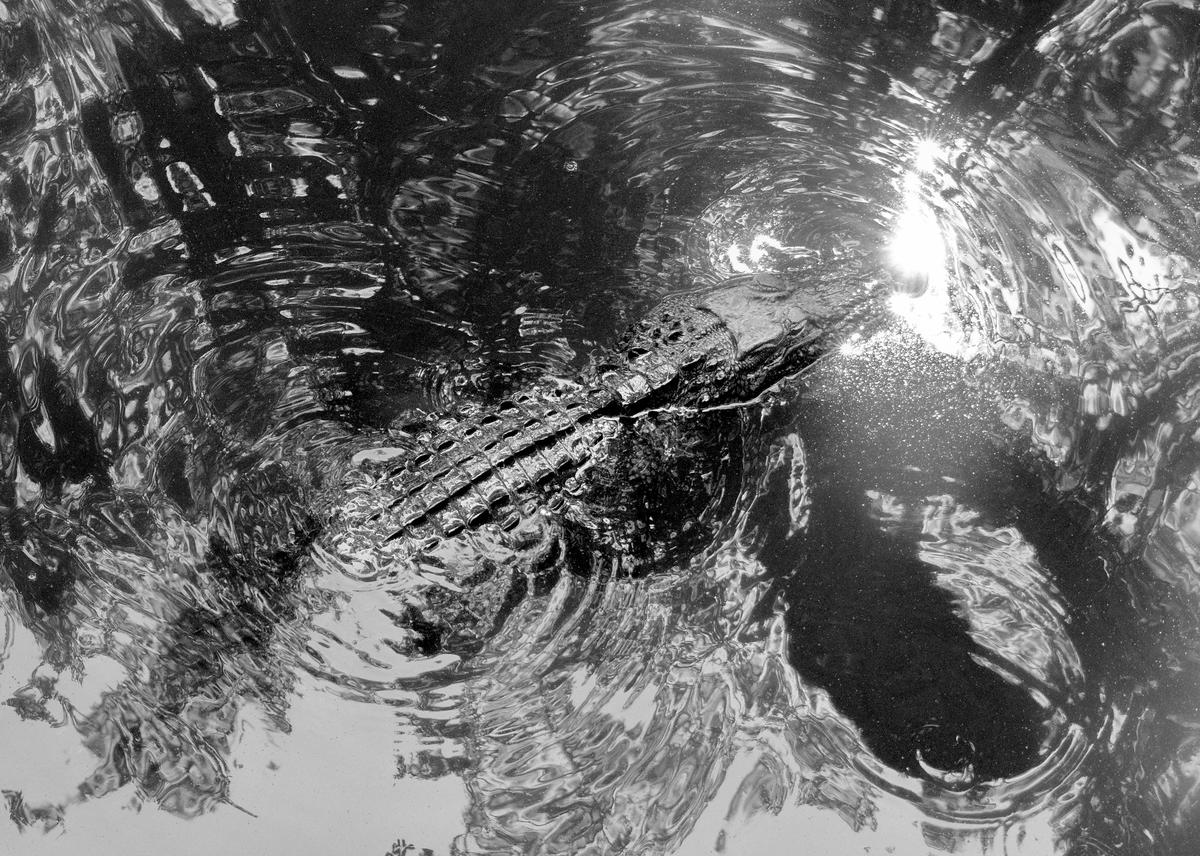 Abstract  edit B&W.JPG