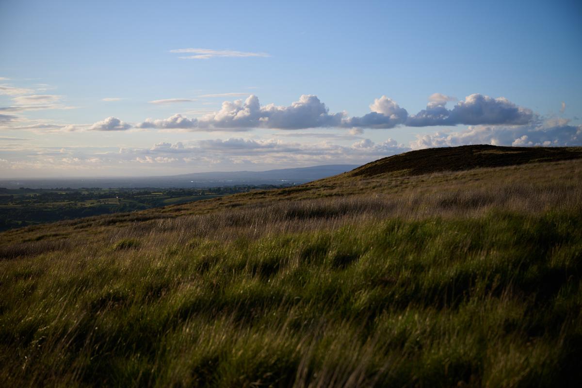 DSC_6025.jpg