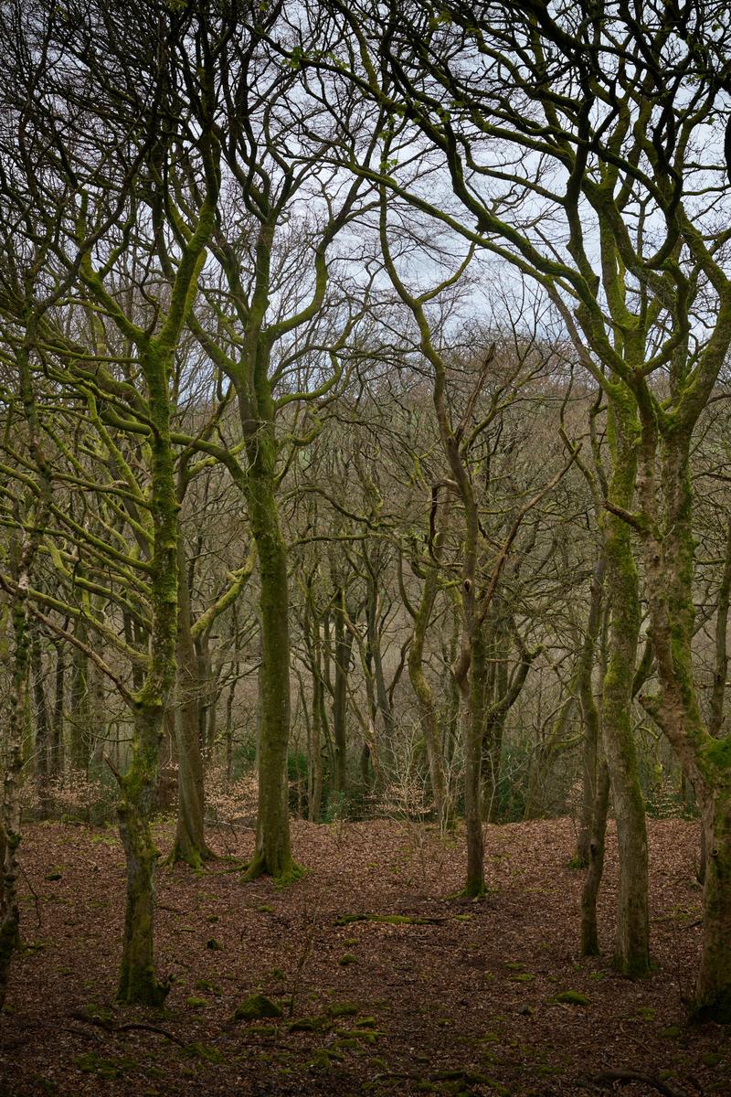 DSC_4398.jpg