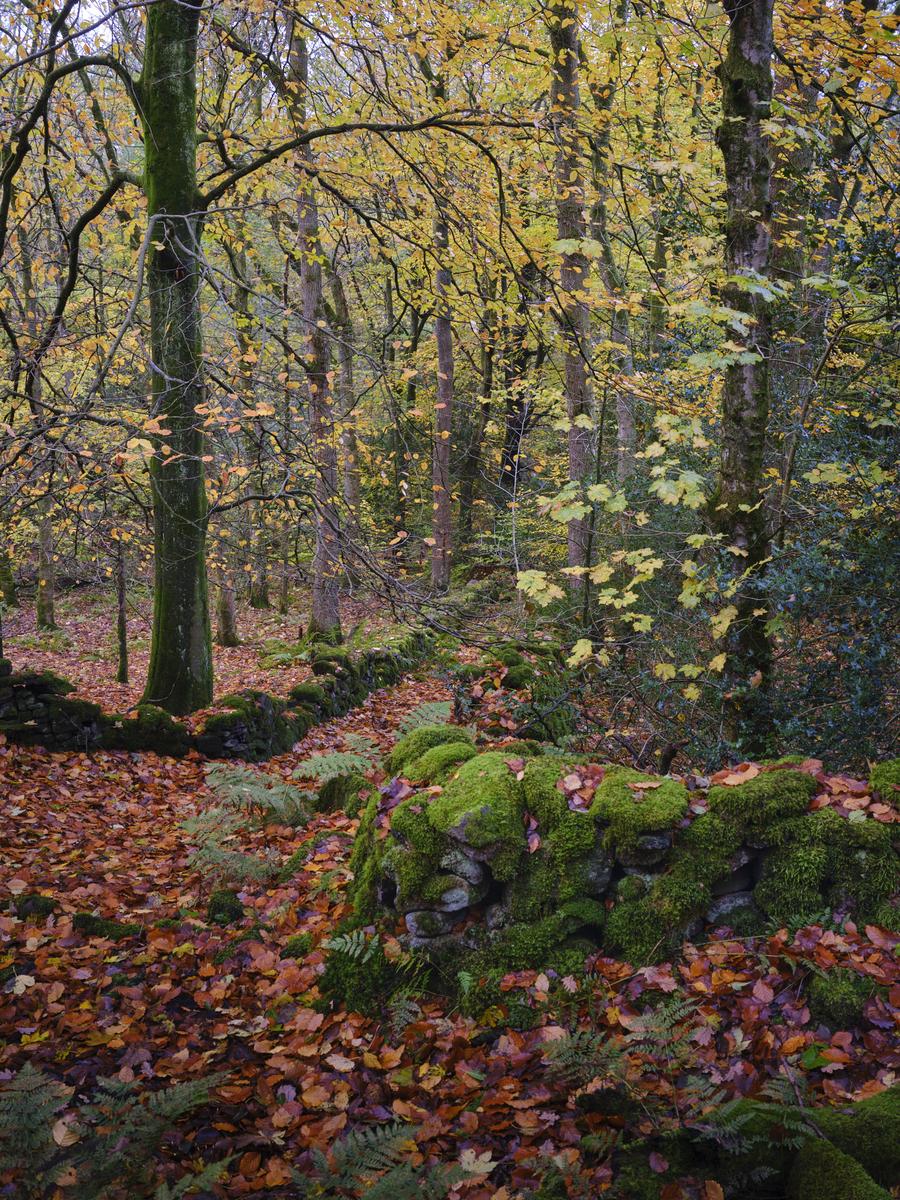 DSCF3639.jpg