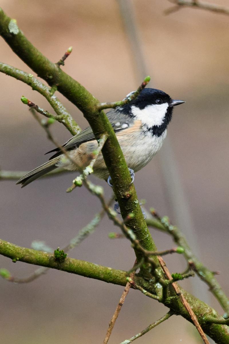 DSC_3416.jpg