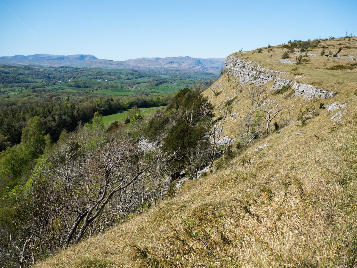 P4296472.jpg