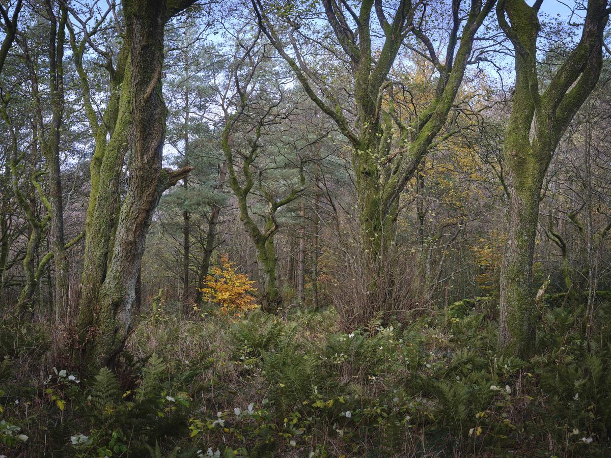 DSCF3854.jpg