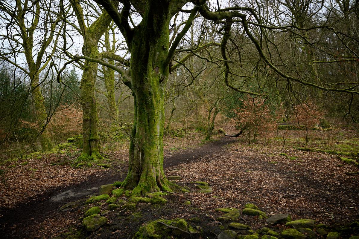 DSC_4409.jpg