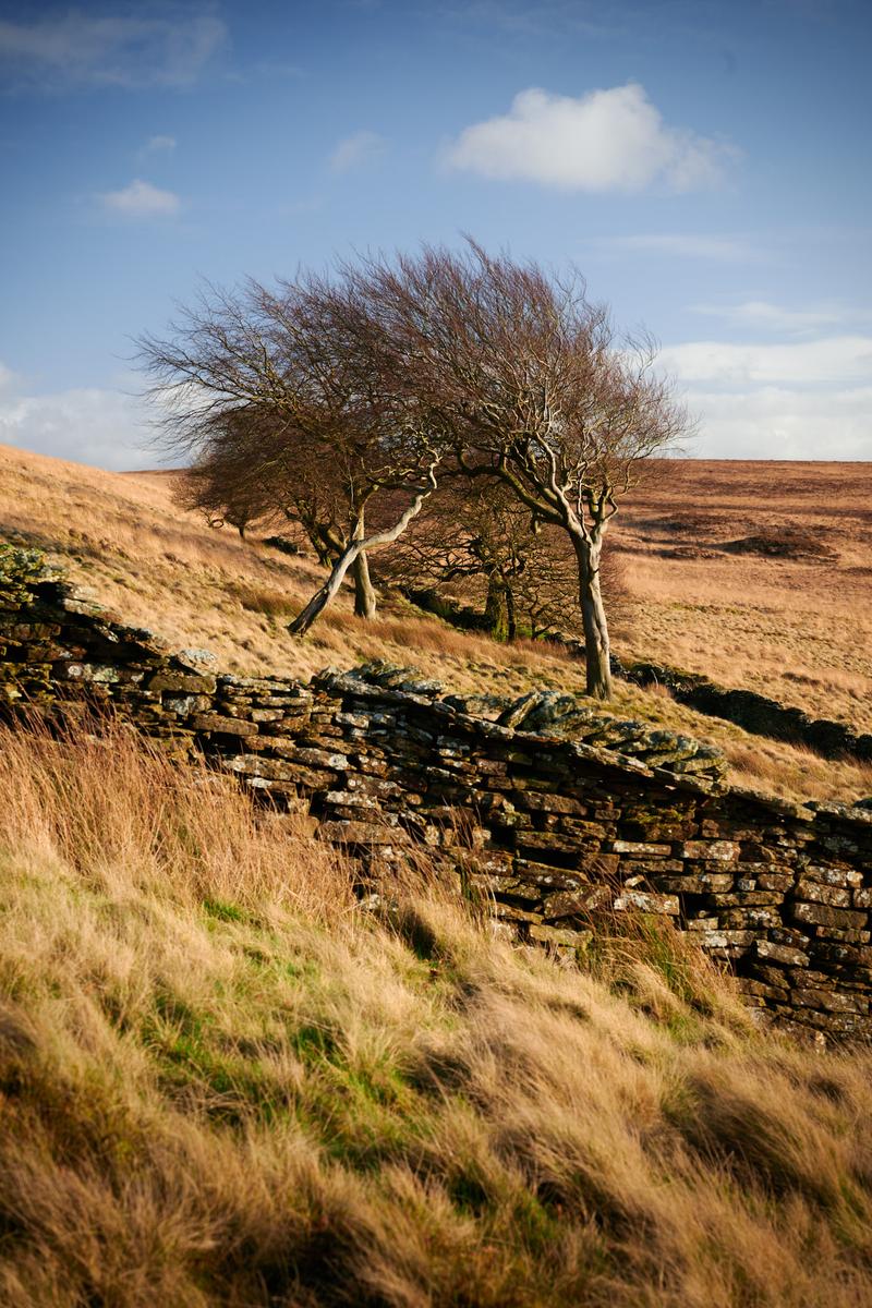 DSC_0683.jpg