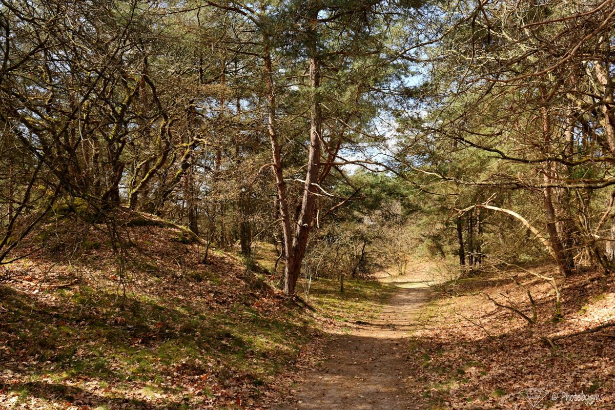 62B_7688.jpg