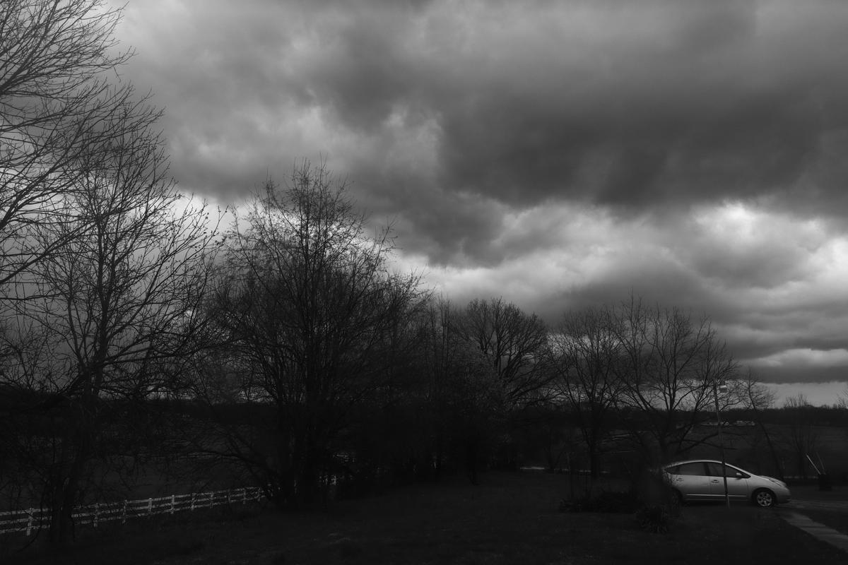 IMG_2493.jpeg