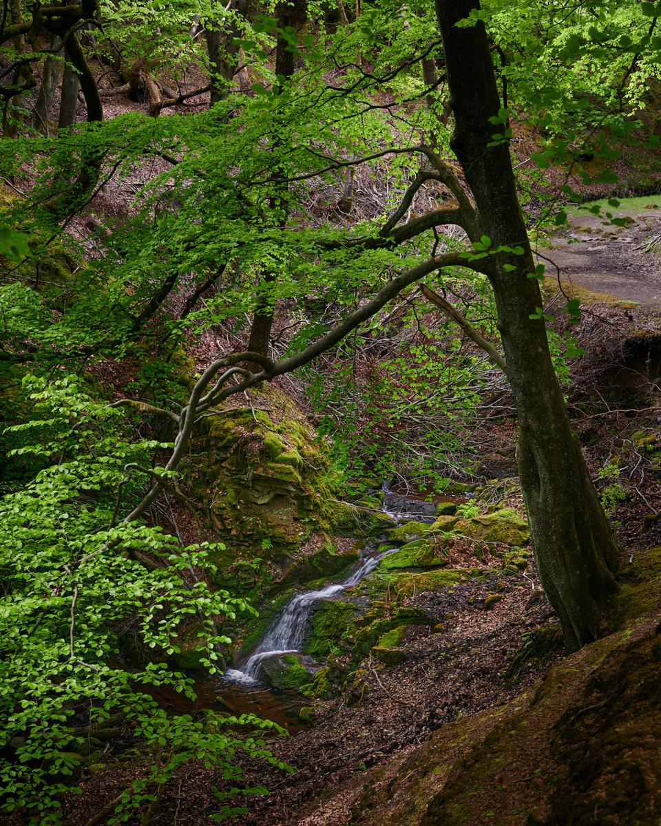 DSC_5251.jpg