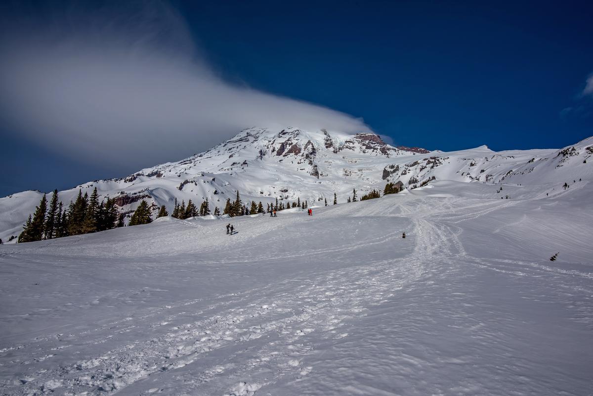 rainier-view.jpg