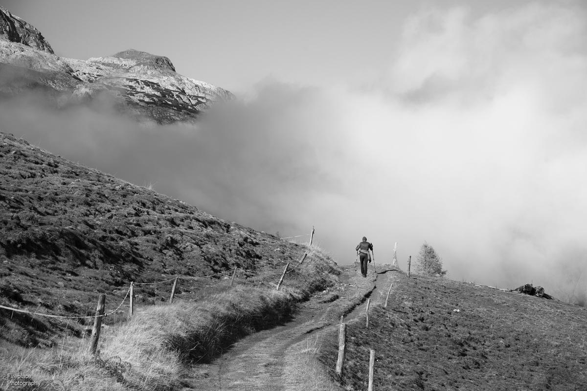DSC_1232 - B&W smaller.JPG