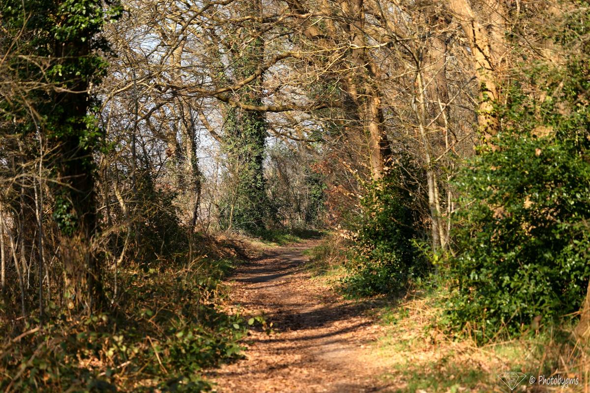 62A_7792.jpg