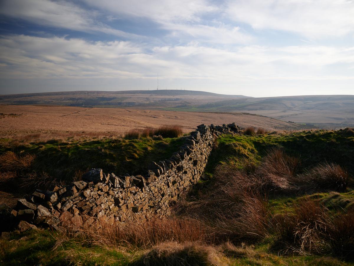 DSC_0622.jpg