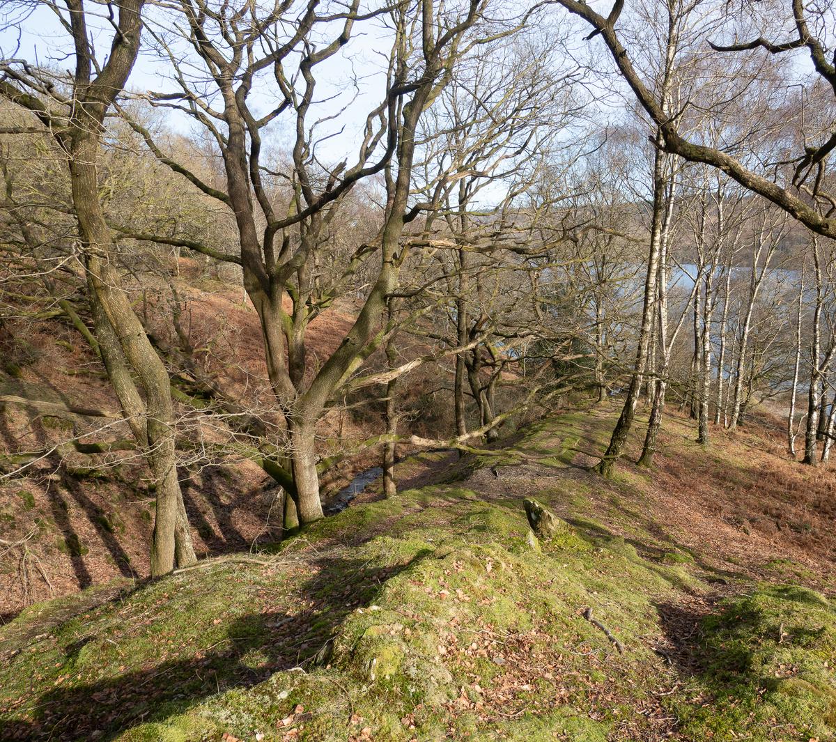 P2176164.jpg