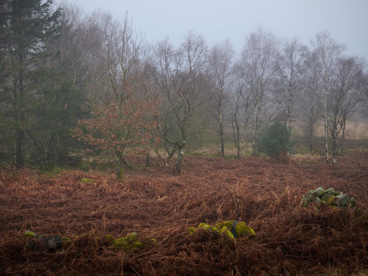 DSC_1458.jpg