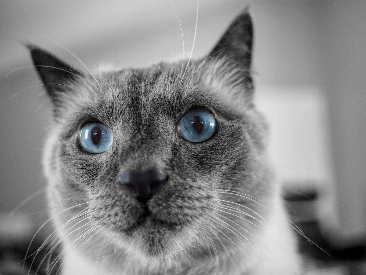 Max Up Close.jpg
