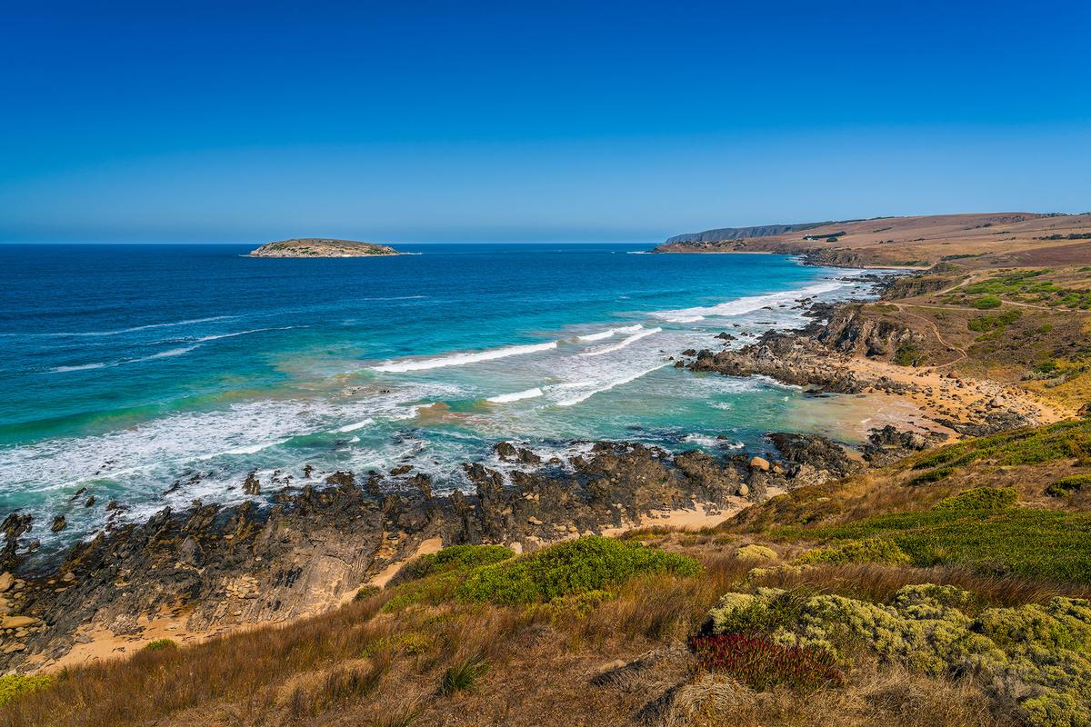 _7RV0108_Petrel_Cove.jpg