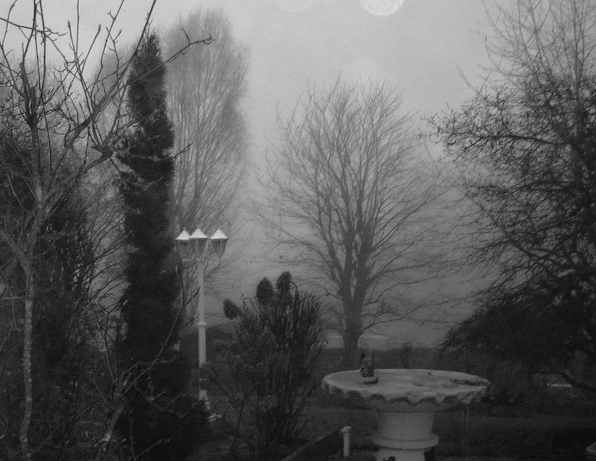 DSCN0923.JPG