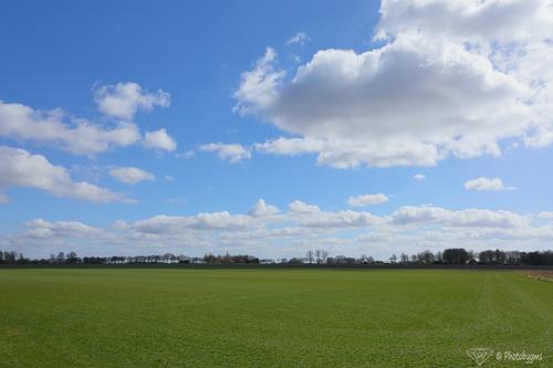 62A_1523.jpg