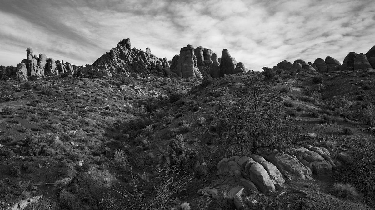 Arches-GFRF2487-20260411-0196.jpg