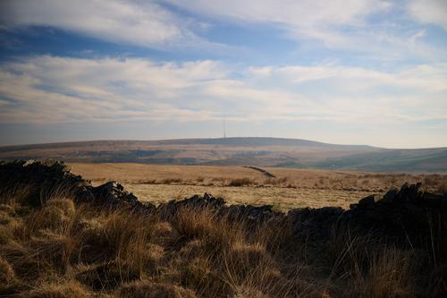 DSC_0639.jpg