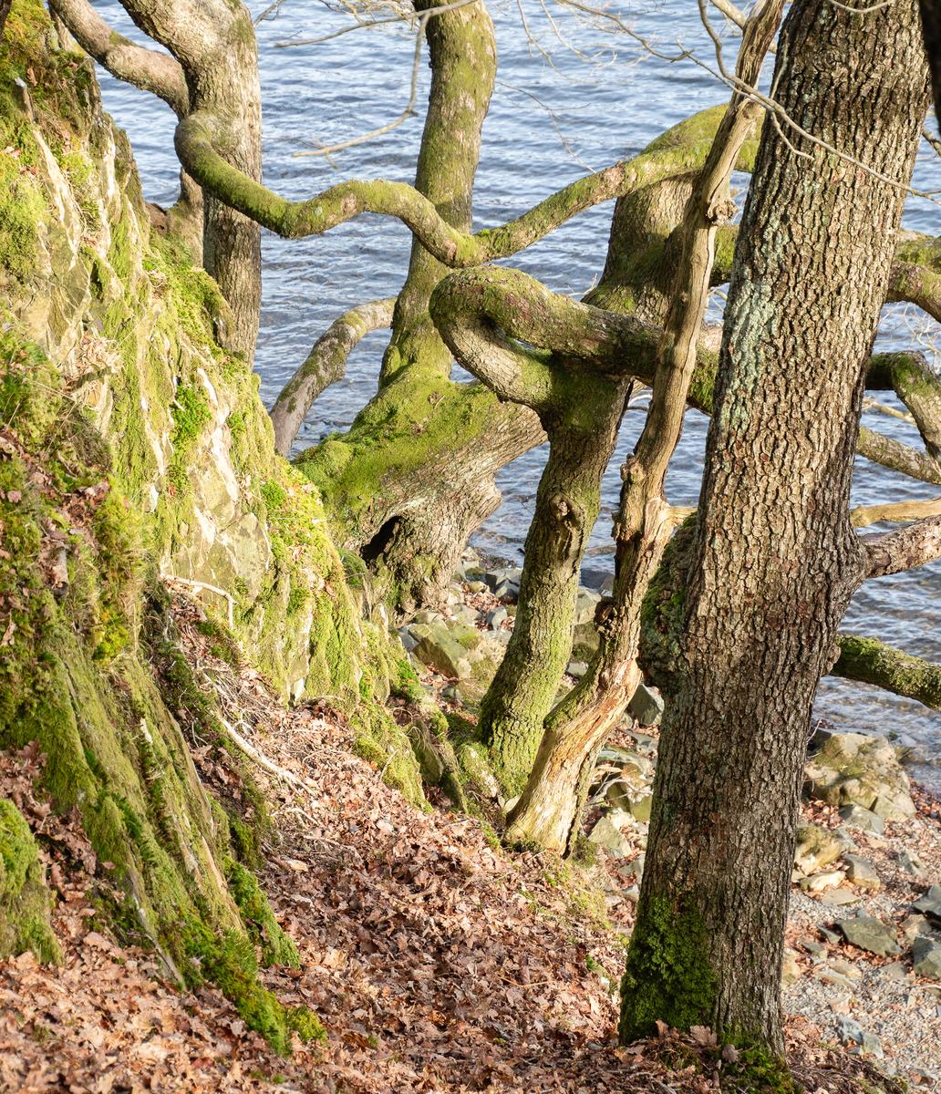P2176166.jpg