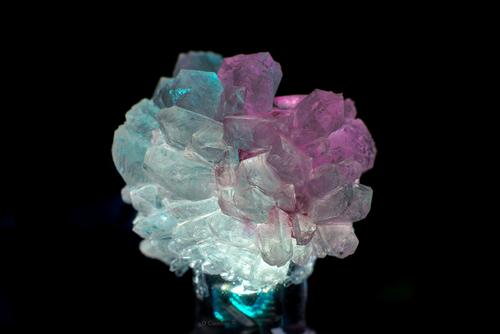 3mm LED.jpg