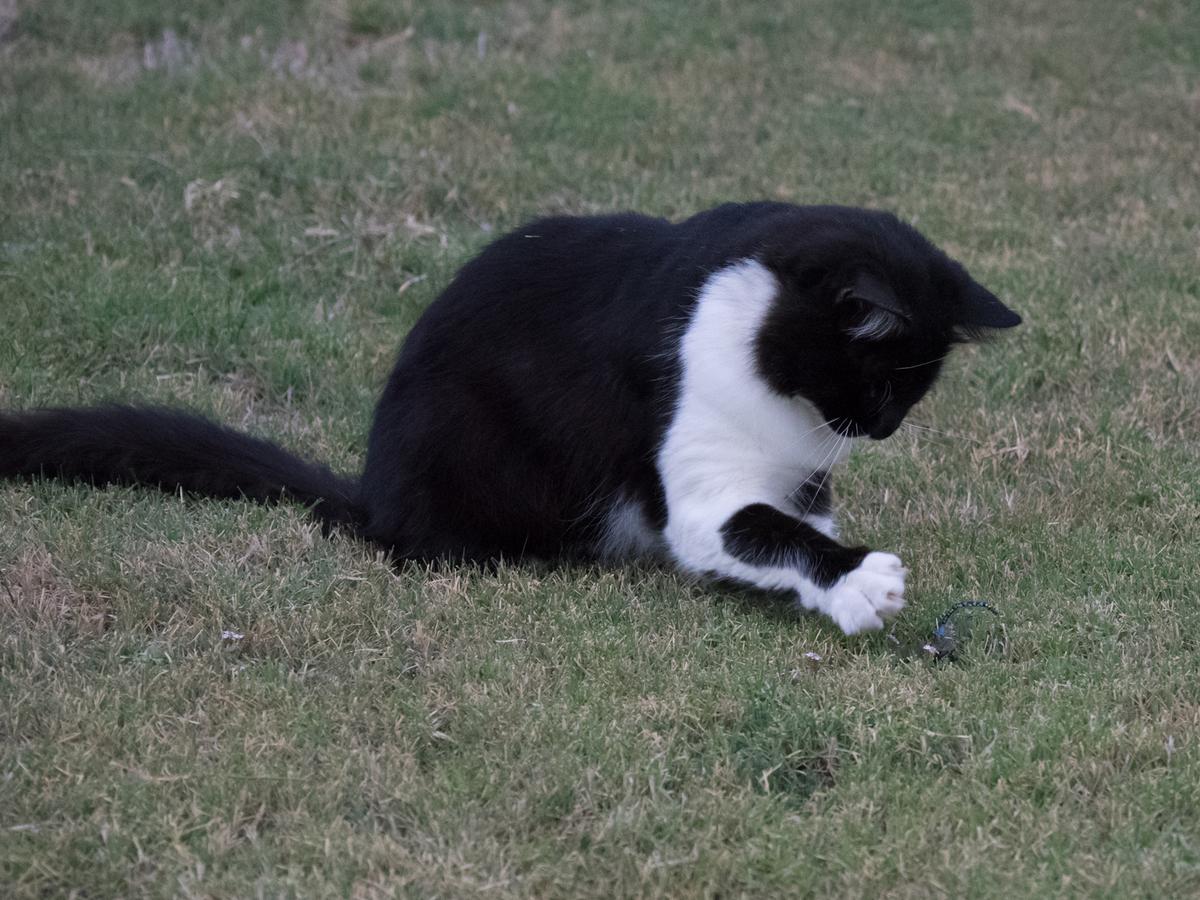 E-M1-#P9010733-27.jpg