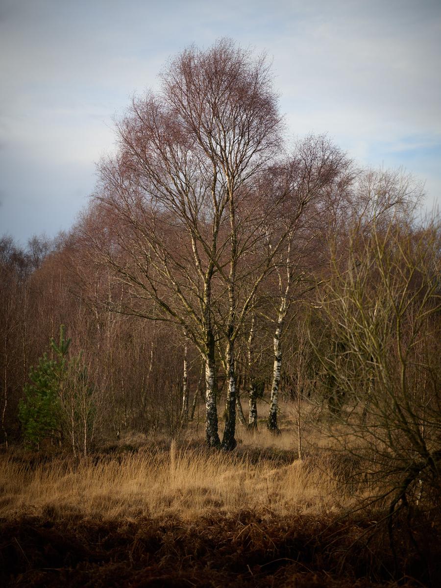 DSC_1308.jpg