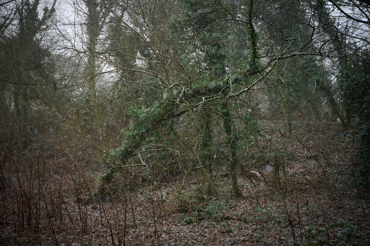 DSC_0879.jpg