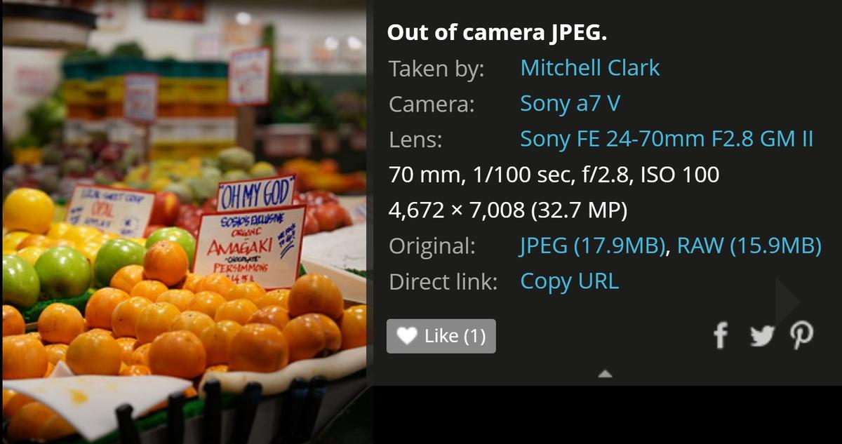 a7v raw iso 100.jpg