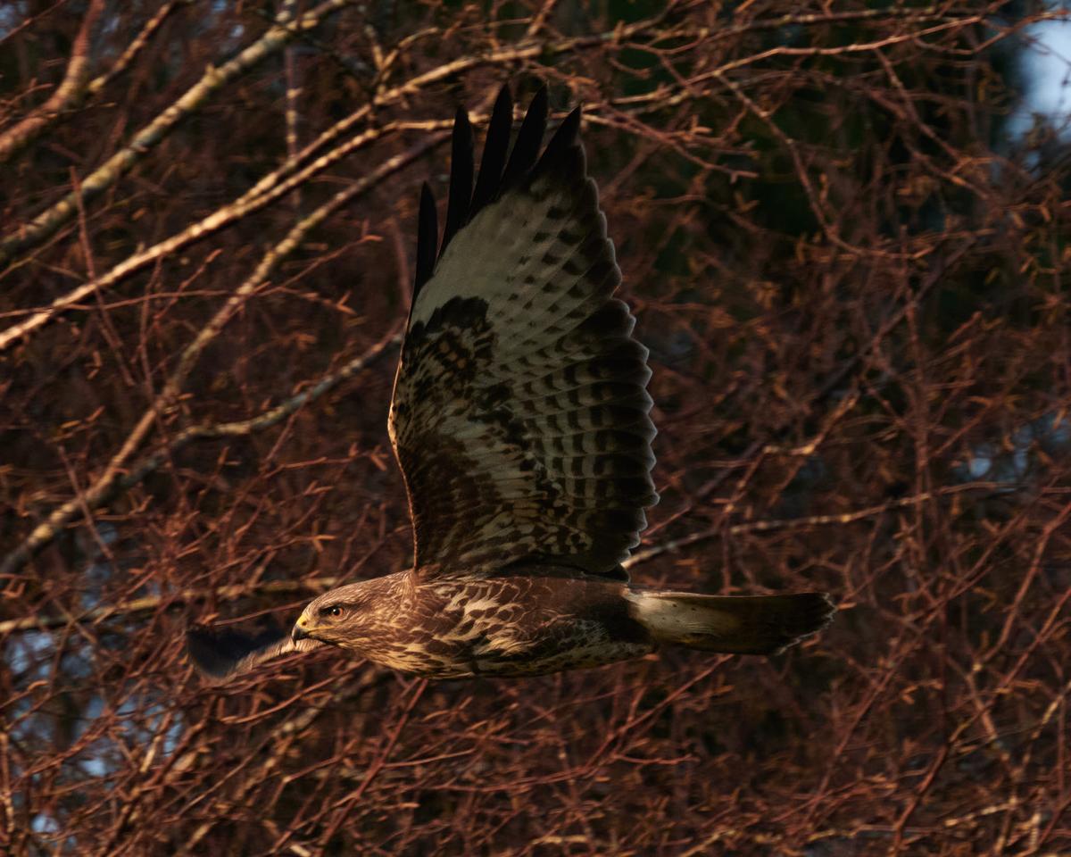 DSC_2882.jpg