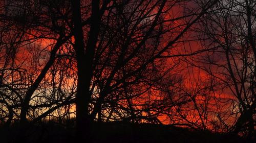 Sunrise 03-02-25 (3).jpg