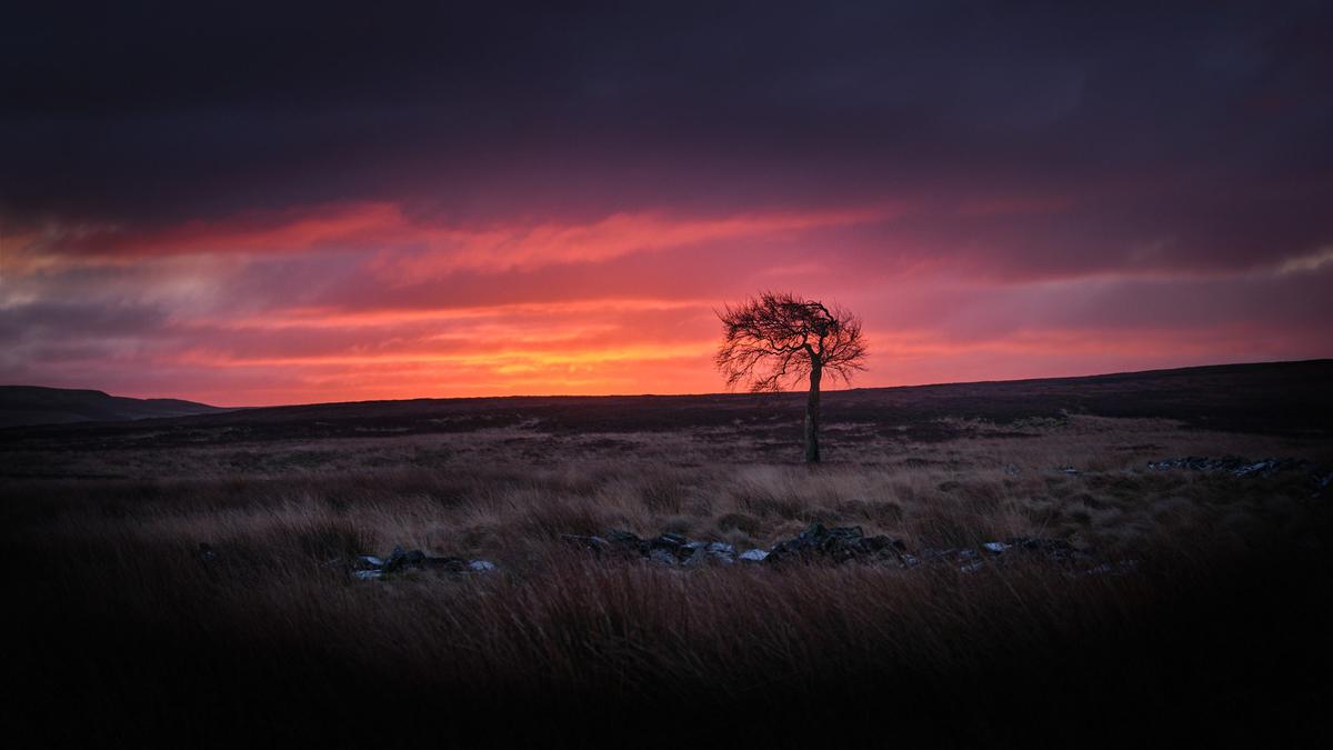 DSCF1653.jpg