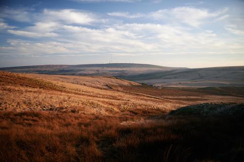 DSC_0697.jpg
