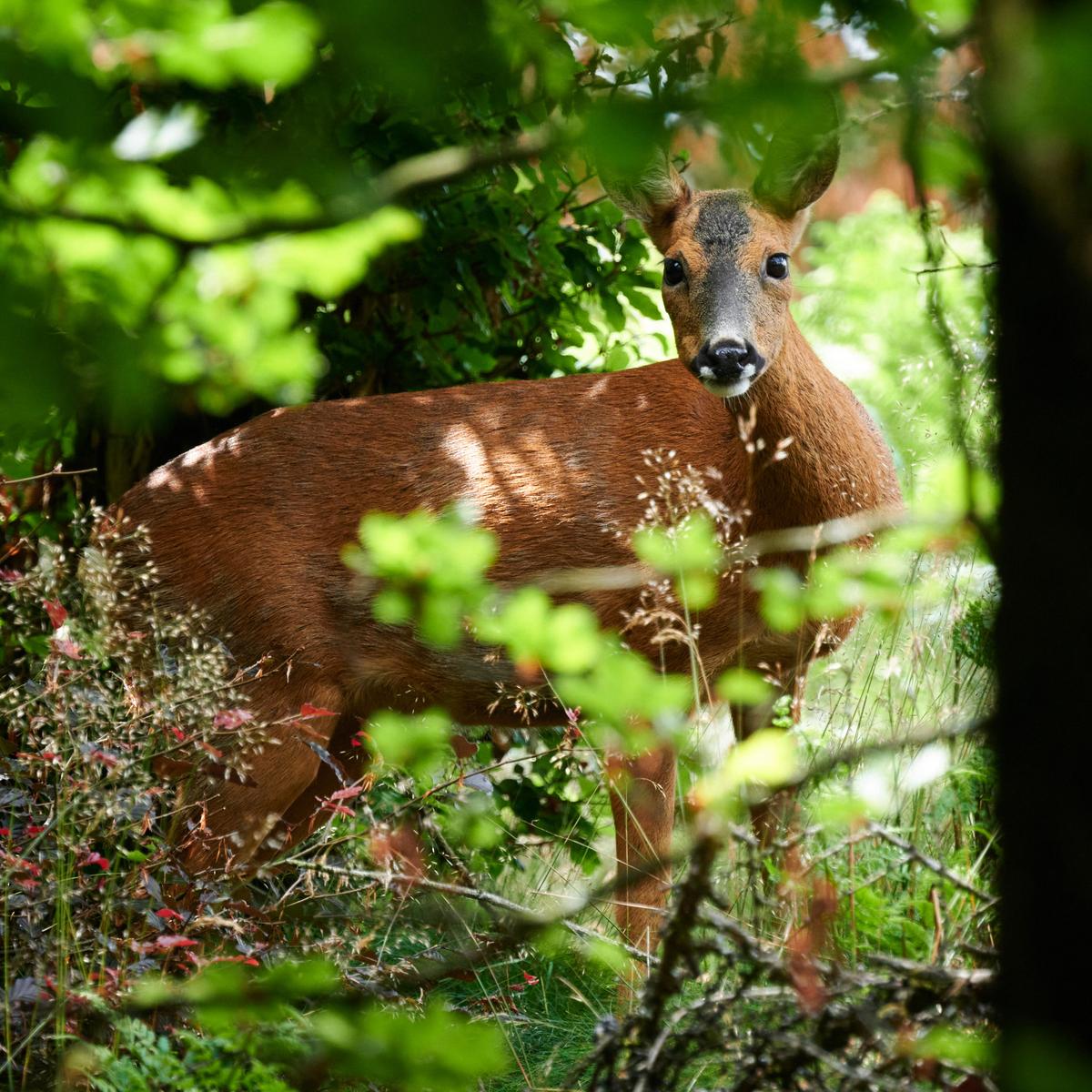 DSC_6279.jpg