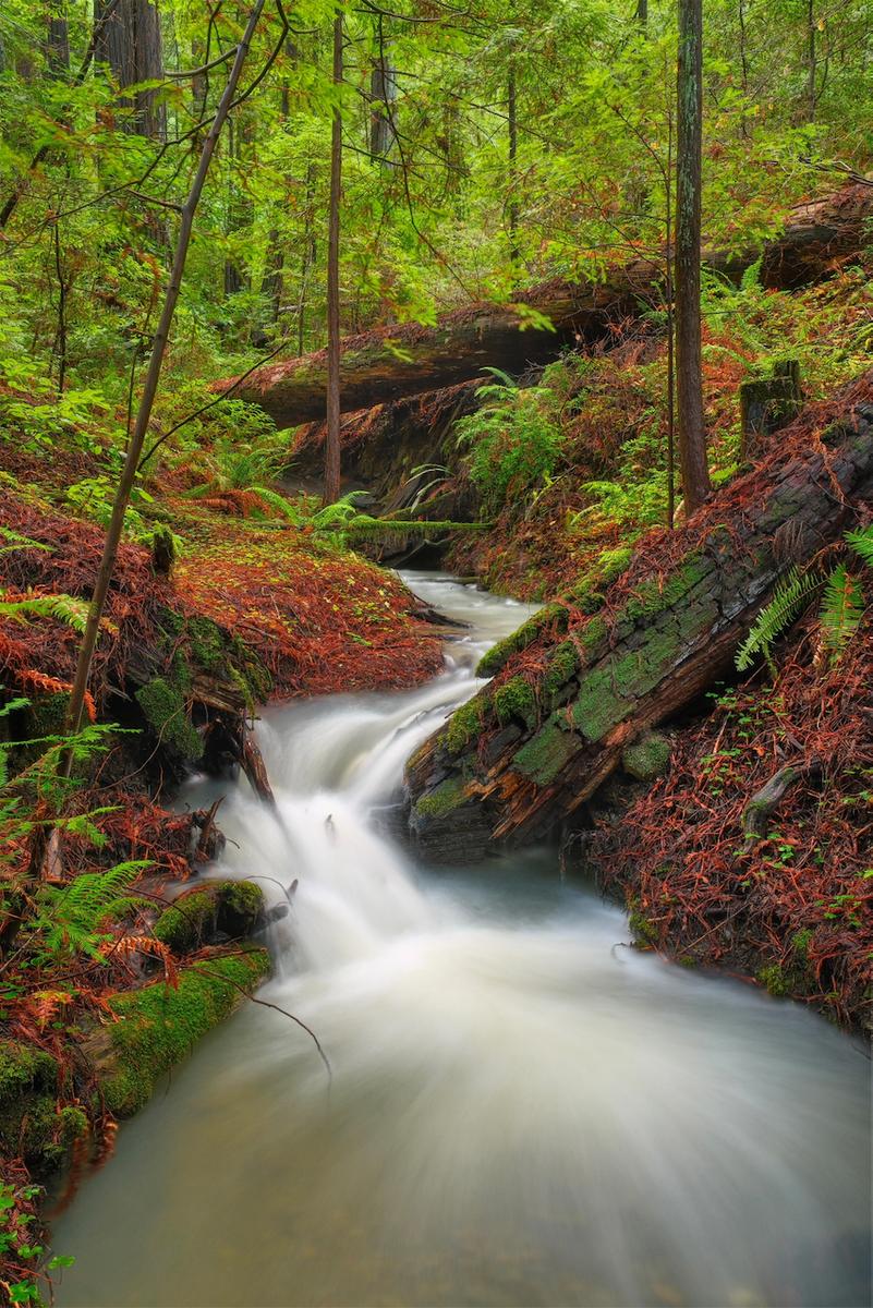 DSCF9697_HDR.jpeg