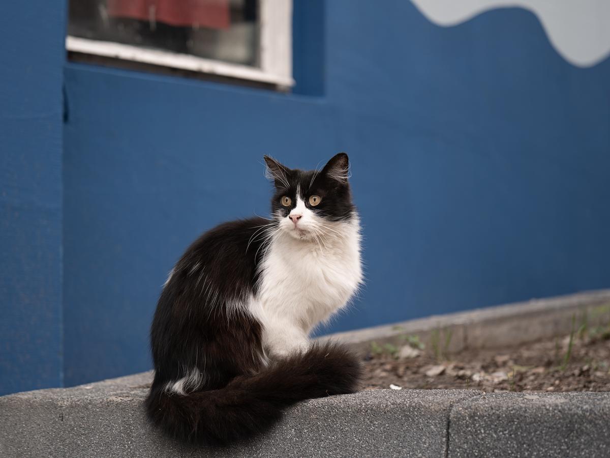 L1000529.jpg